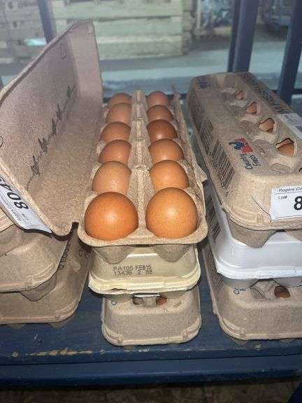 3 Doz Medium Brown Eating Eggs