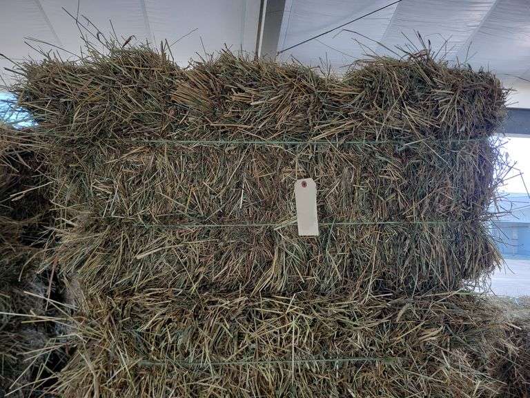 20 1st Orchard Grass Timothy Mix