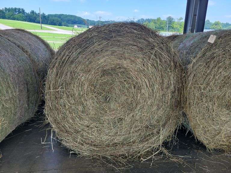 2 Round Bales Orchard Clover Alfalfa  Dry  (4x5) Net Wrapped  Stored Inside