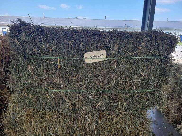 10 3rd Gras Alfalfa (2024)