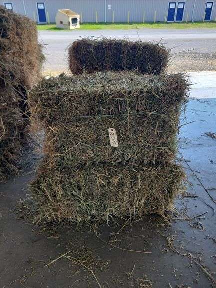 7 1st Alfalfa Orchard Timothy