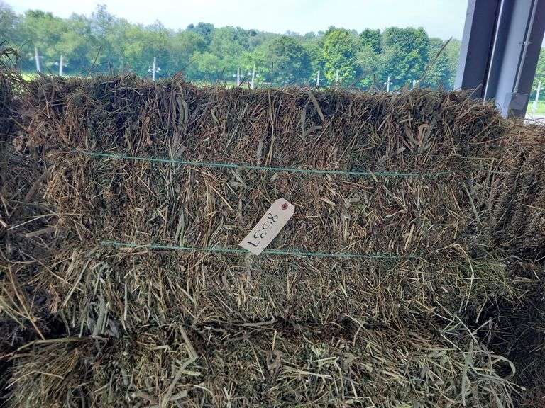 10 1st Alfalfa Orchard Timothy