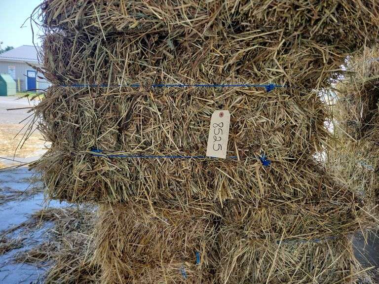 15 1st (15%) Clover Alfalfa & (85%) Timothy Orchard Grass - Never Wet