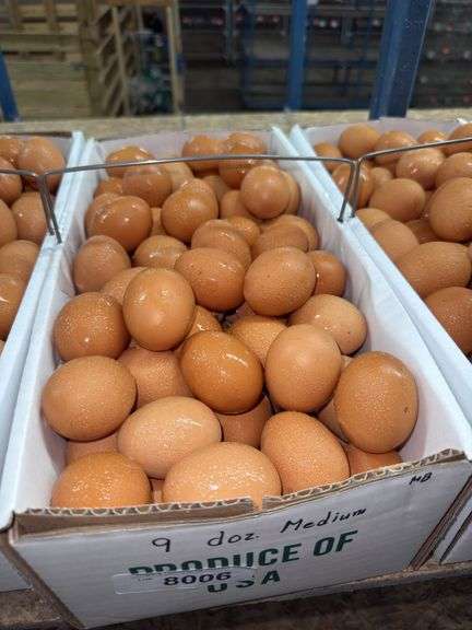 9 Doz Medium Brown Eating Eggs