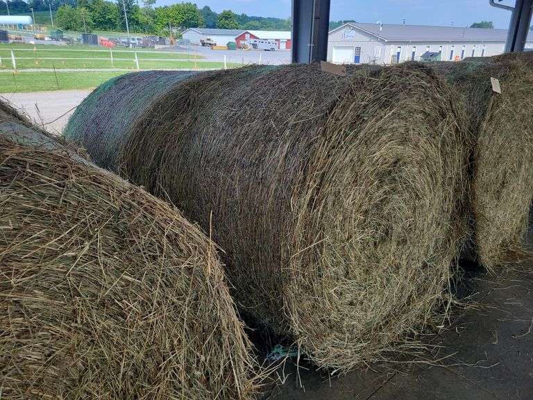 2 Round Bales Orchard Clover Alfalfa  Dry  (4x5) Net Wrapped  Stored Inside