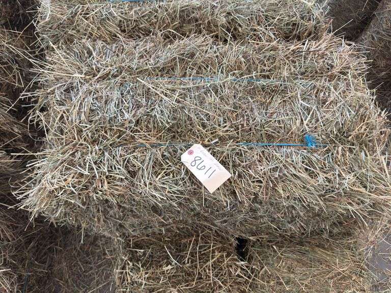 10 1st Grass