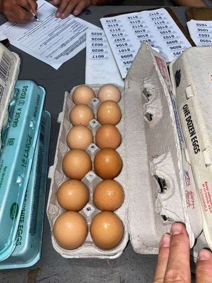 2 Doz Large Brown Eating Eggs