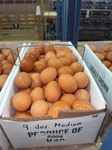 9 Doz Medium Brown Eating Eggs