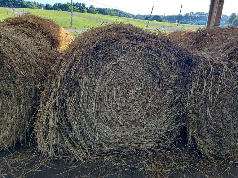 2 Round Bales 1st Mix Grass (4x4) Stored inside (2024)