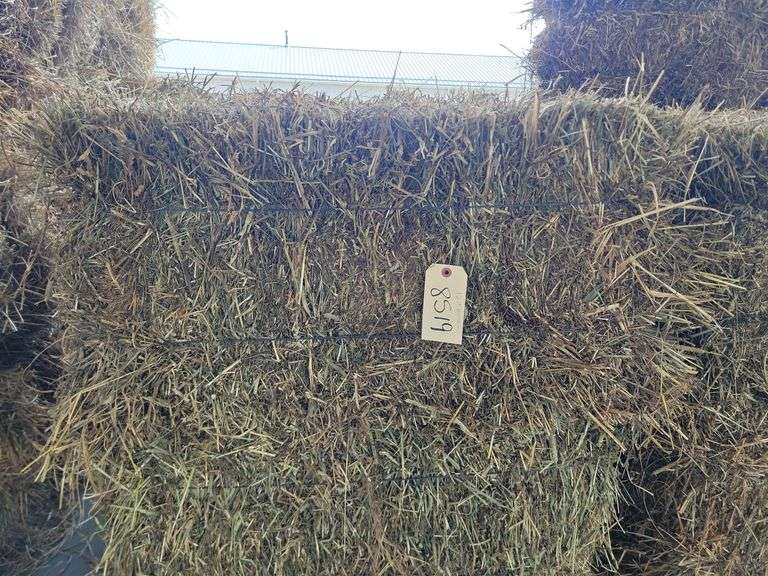 12 1st Alfalfa Timothy
