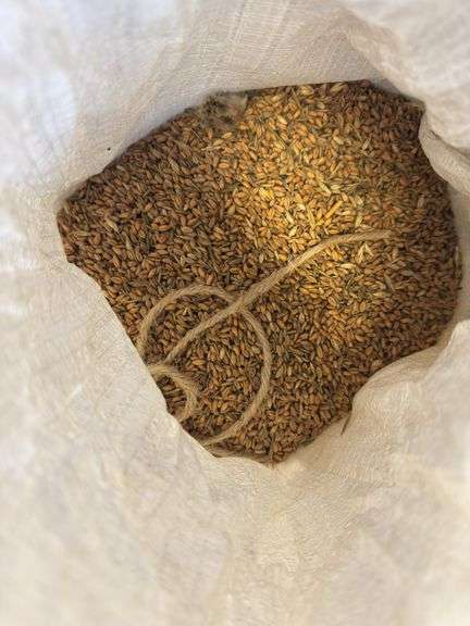 Bag of Wheat - Approx. 15lbs