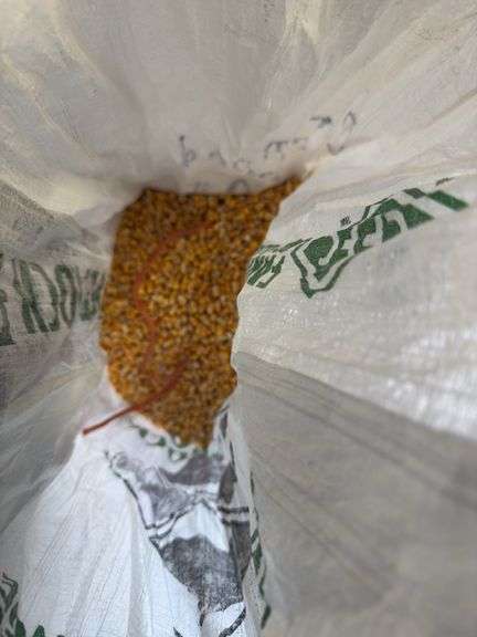 Bag of Shelled Corn - Approx. 28lbs