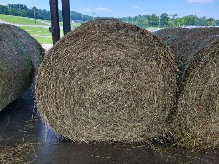 2 Round Bales Orchard Clover Alfalfa  Dry  (4x5) Net Wrapped  Stored Inside