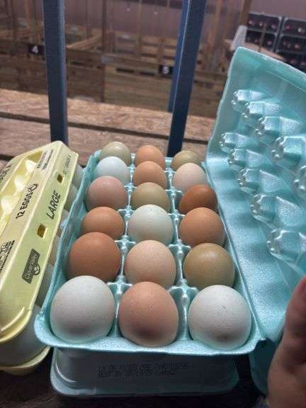 3 Doz Mixed Brown Eating Eggs