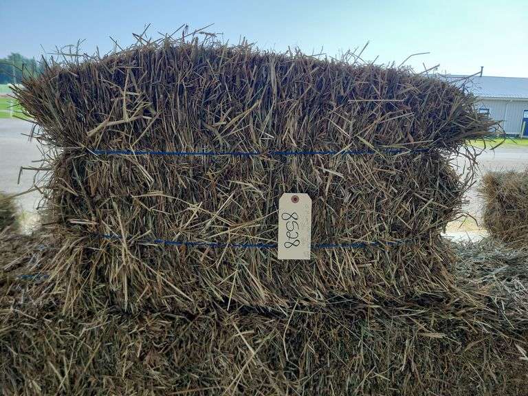 15 1st (15%) Clover Alfalfa & (85%) Timothy Orchard Grass - Never Wet