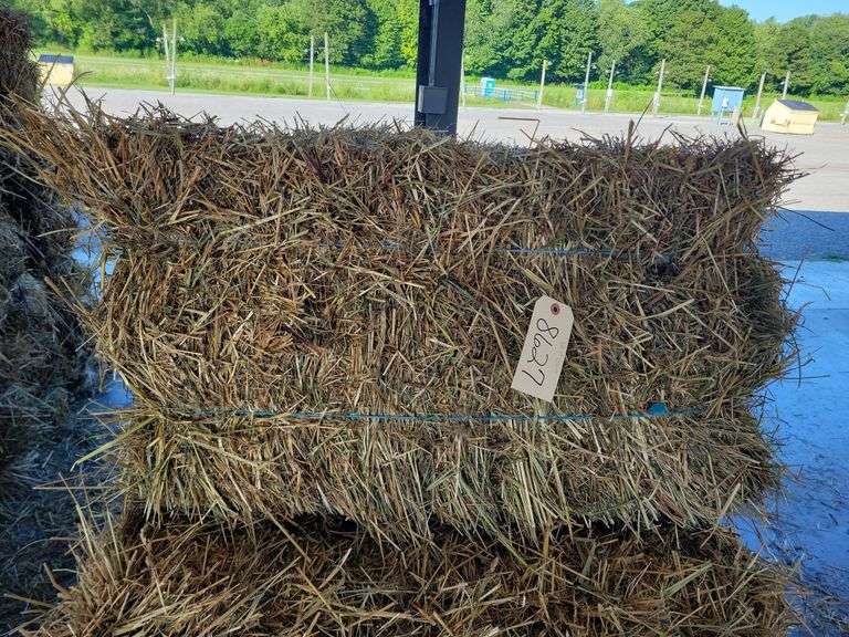 12 1st Grass
