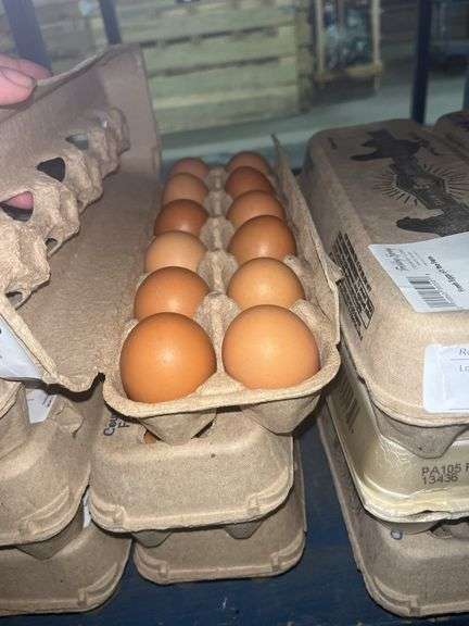 3 Doz Medium Brown Eating Eggs