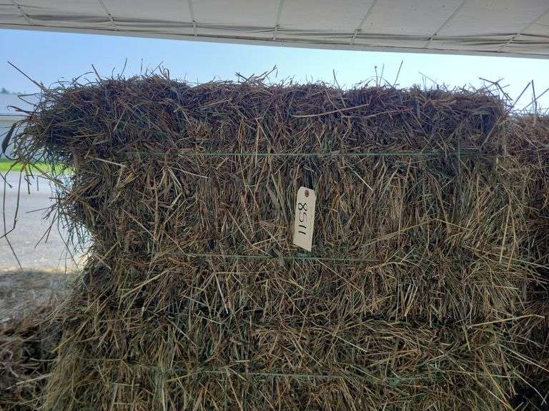 20 1st Orchard Grass Timothy Mix