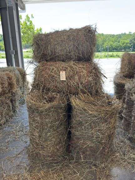 12 Mini Round Bales 1st Mix (20"x28")