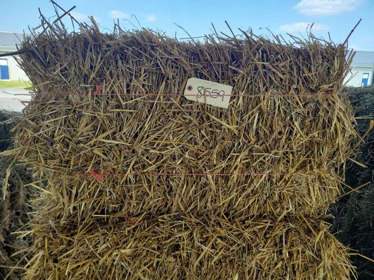 10 Wheat Straw