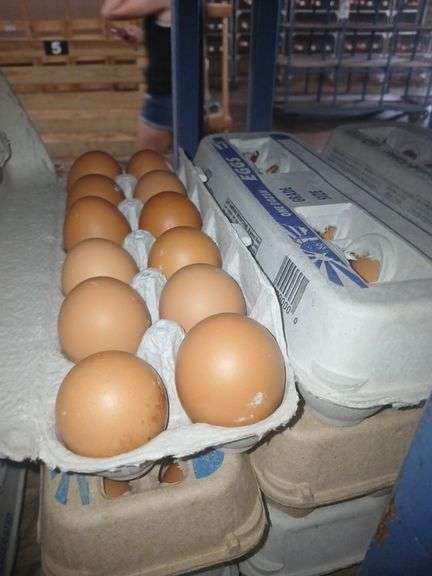 6 Doz Large Brown Eating Eggs