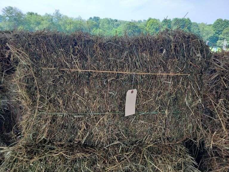 10 1st Alfalfa Orchard Timothy