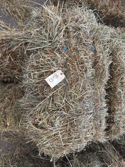 10 1st Grass