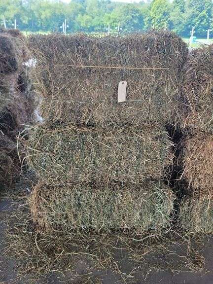 10 1st Alfalfa Orchard Timothy