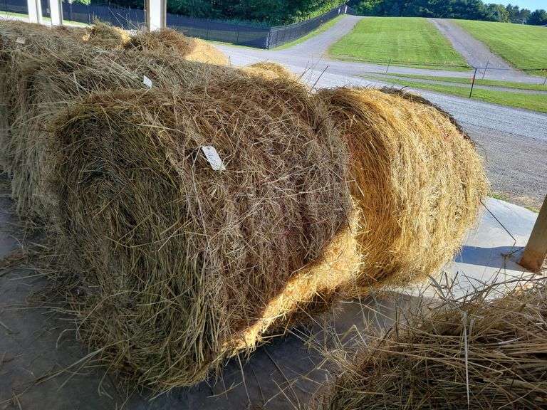 2 Round Bales 1st Mix Grass (4x4) Stored inside (2024)