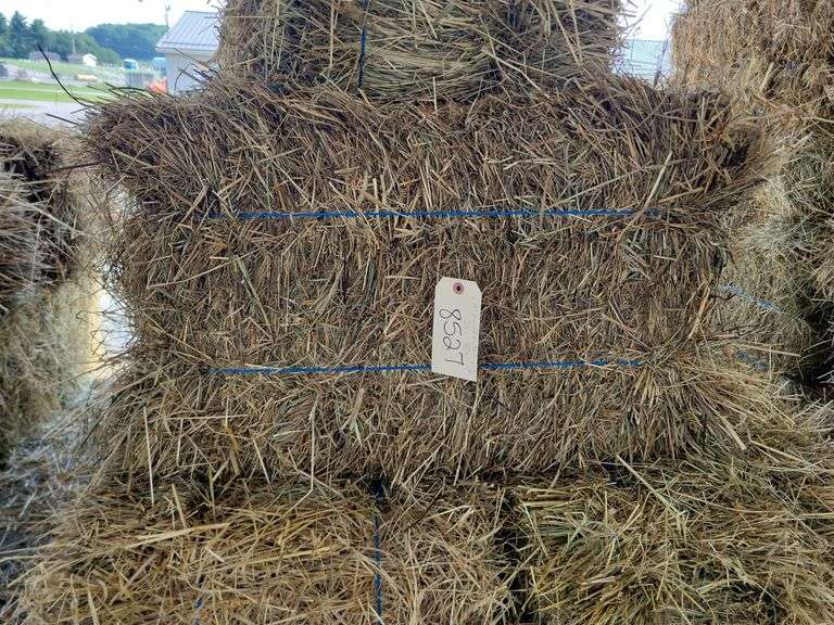 8 1st (15%) Clover Alfalfa & (85%) Timothy Orchard Grass - Never Wet