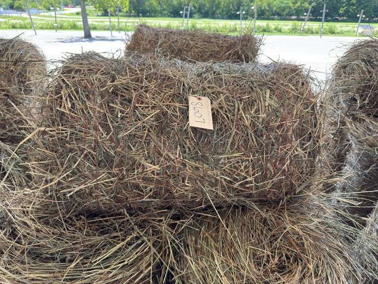 10 Mini Round Bales 1st Mix (20"x28")