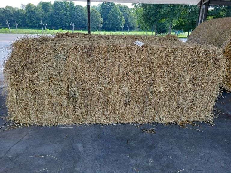 1 Large Square 1st Grass (3x3)