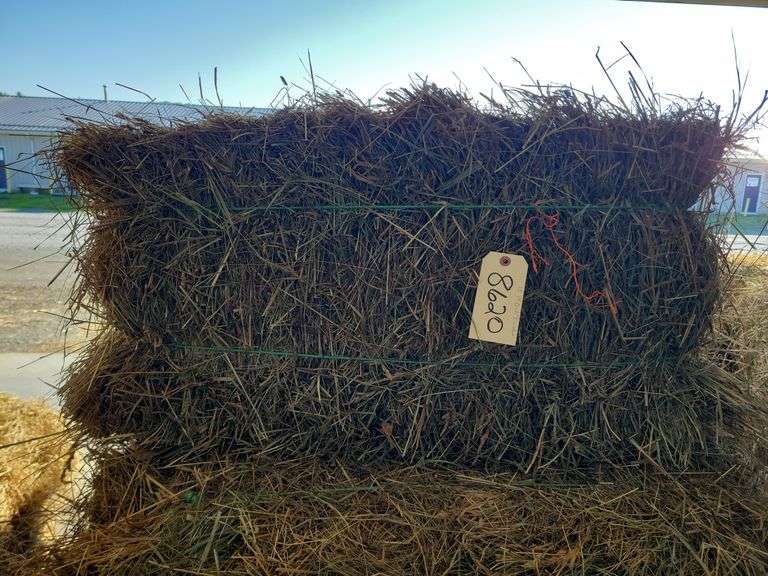 13 1st Orchard Grass Timothy Mix