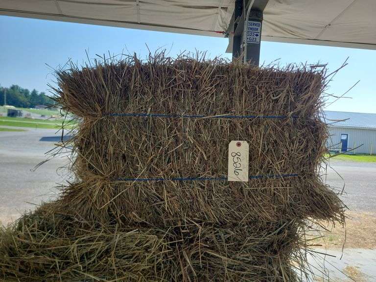 15 1st (15%) Clover Alfalfa & (85%) Timothy Orchard Grass - Never Wet