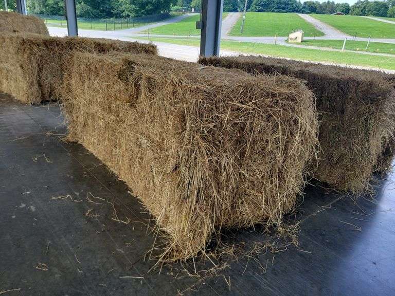 1 Large Square 1st Grass (3x3)