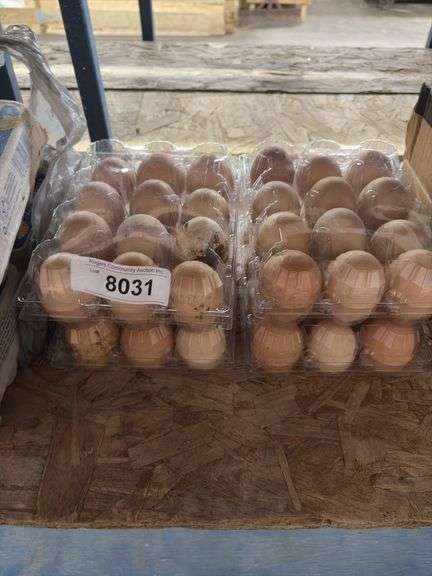4 Doz Chicken Eating Eggs