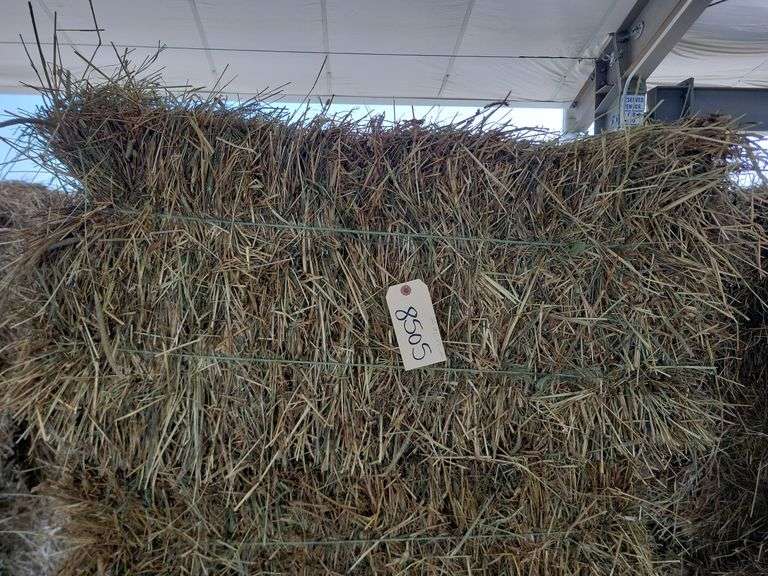 20 1st Orchard Grass Timothy Mix