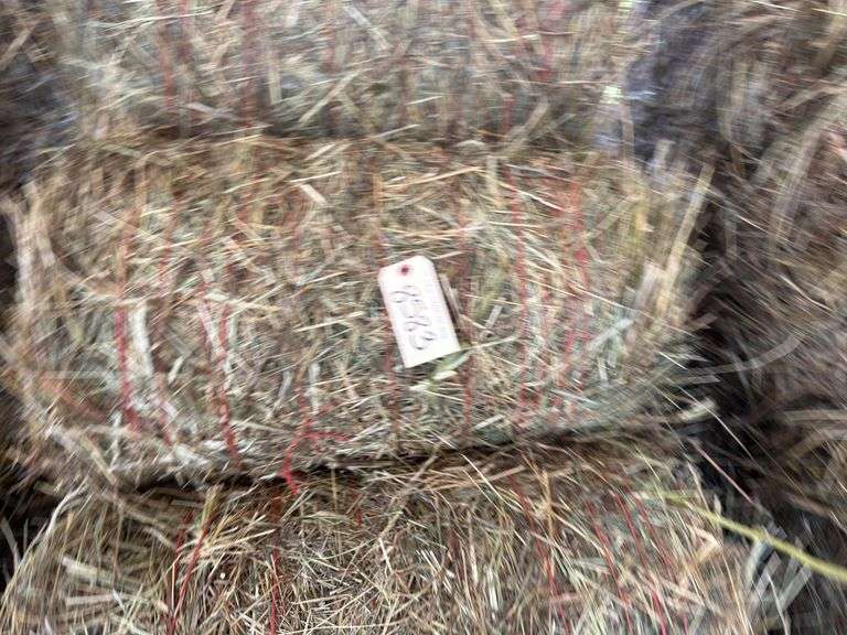 15 Mini Round Bales 1st Mix (28"x20")
