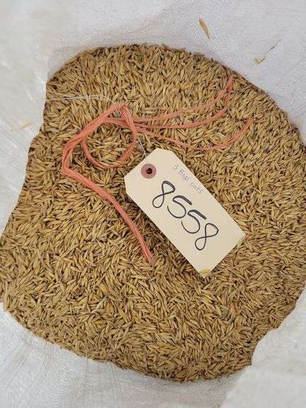 3 Bags Oats