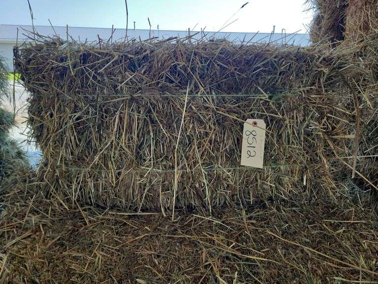 8 1st Orchard Grass Timothy Mix