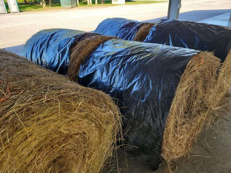 2 Round Bales 1st Orchard Grass Timothy Mix (4x4) Wrapped