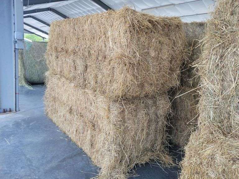 2 Large Squares 1st Grass (3x3)