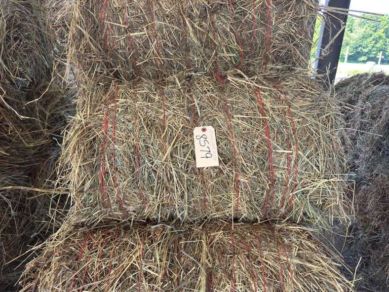15 Mini Round Bales 1st Mix (28"x20")