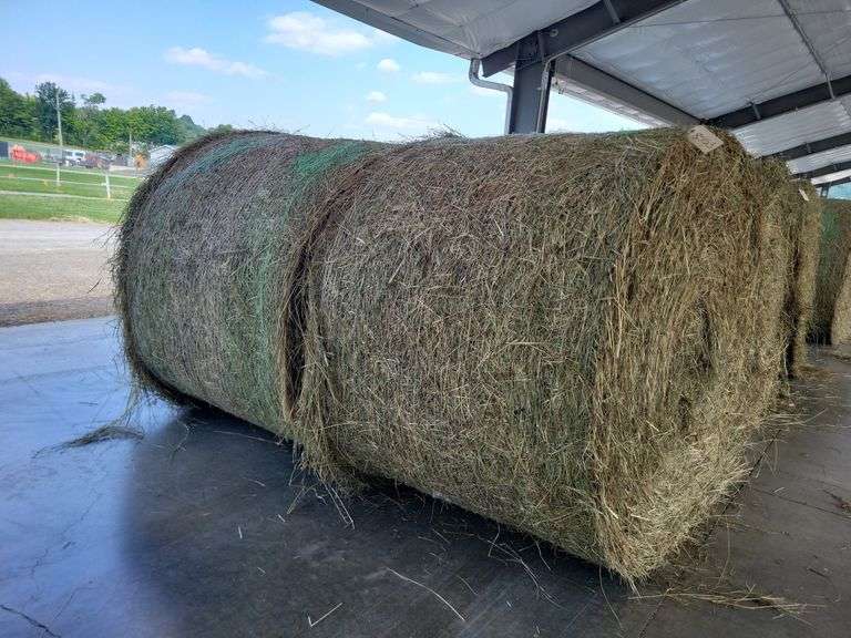 2 Round Bales 1st Orch Clover Alf Dry (4x5) Net Wrapped  Stored Inside
