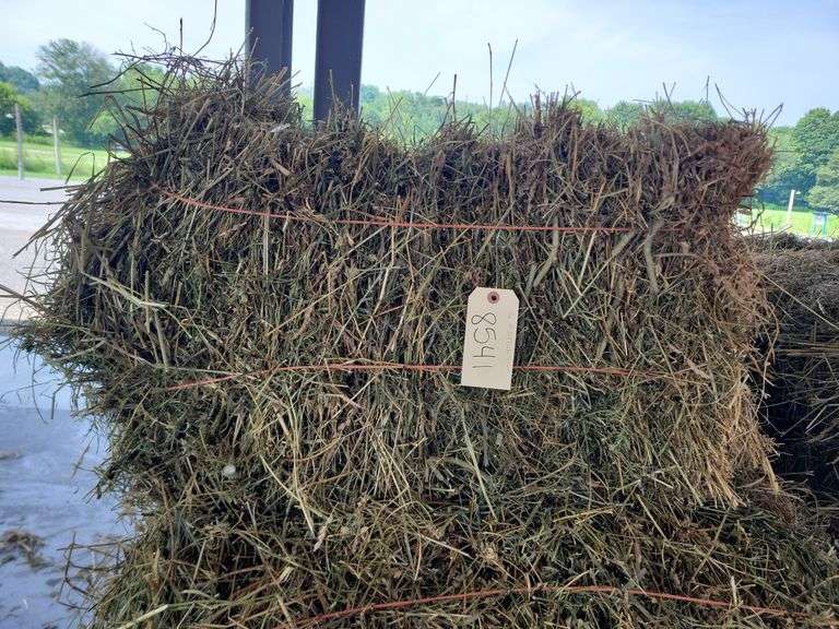 16 1st Alfalfa Orchard Timothy