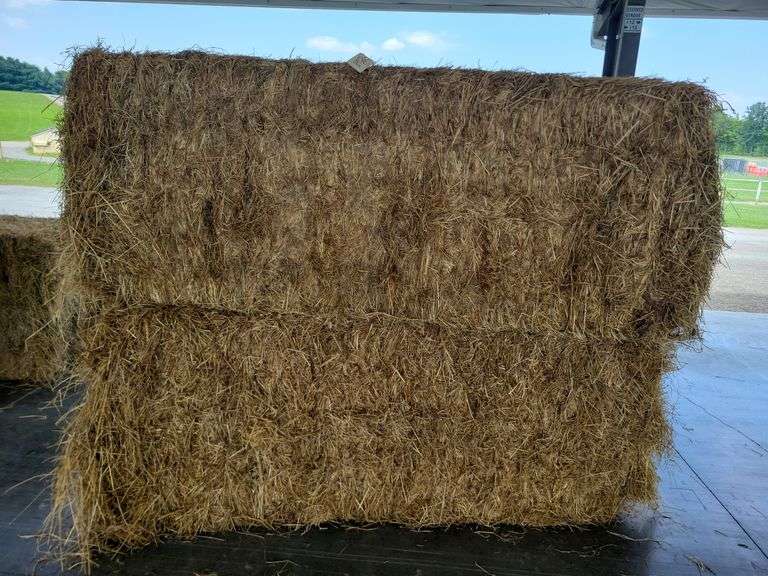 2 Large Squares 1st Grass (3x3)