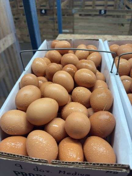 9 Doz Medium Brown Eating Eggs
