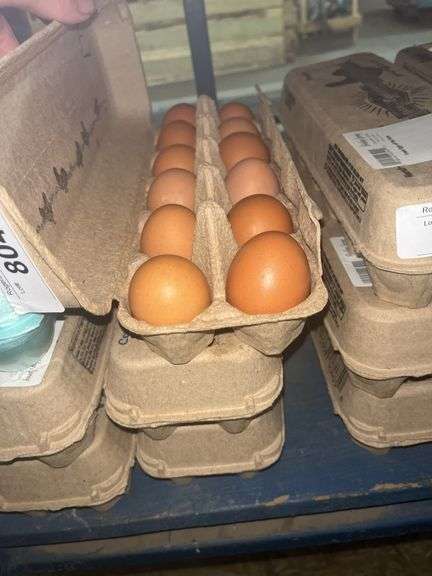 3 Doz Medium Brown Eating Eggs