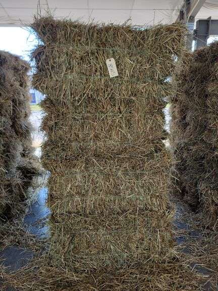 20 1st Orchard Grass Timothy Mix