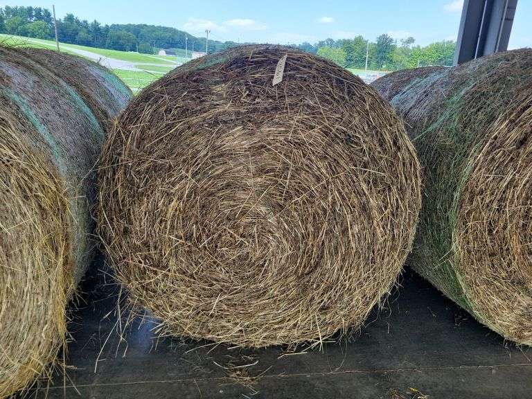 2 Round Bales 1st Alfalfa Timothy (4x5)